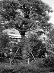 东洲注册公司